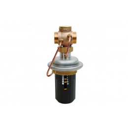 DANFOSS (RIDAN) AVPA Регулятор перепуска DN 15 - 003H6605