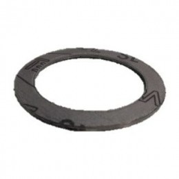 DANFOSS (RIDAN) FVF DN125 прокладка графит(пр. класс 0823310479) - 065B7893