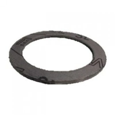 DANFOSS (RIDAN) FVF DN125 прокладка графит(пр. класс 0823310479) - 065B7893