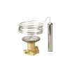 DANFOSS (RIDAN) TE 55 Элем терм R22/R407C -40_10С(пр. класс 0100201297) - 067G3205 (ДАНФОСС)