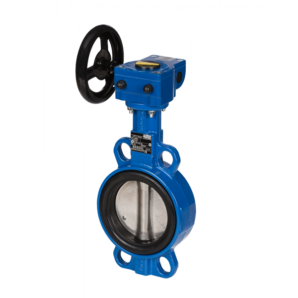 DANFOSS (RIDAN) VFY-WG затвор дисковый DN250 PN16 корп. GG25 с центр. проуш.. Диск- GGG40 с эпокс. упл. EPDM. С редукторомИспользовать ответные флан - 065B8427 (ДАНФОСС)
