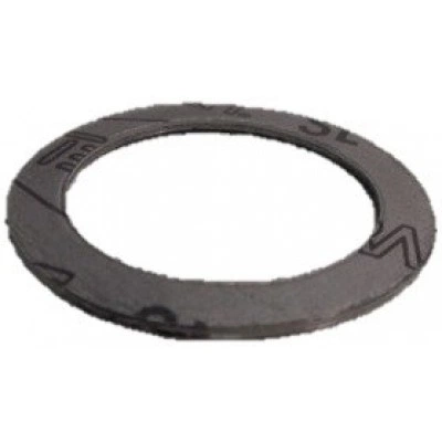 DANFOSS (RIDAN) FVF DN300 прокладка графит(пр. класс 0823310479) - 065B7897